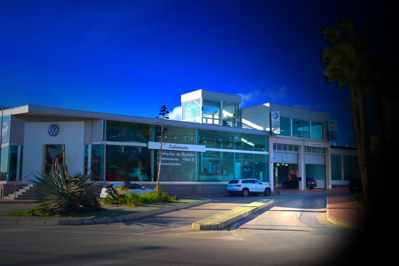 Cofenauto · San Javier