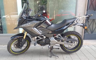 MH TRAY 125 ´23